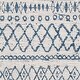 preview thumbnail 10 of 18, The Curated Nomad Brunswick Indoor/ Outdoor Moroccan Tribal Area Rug