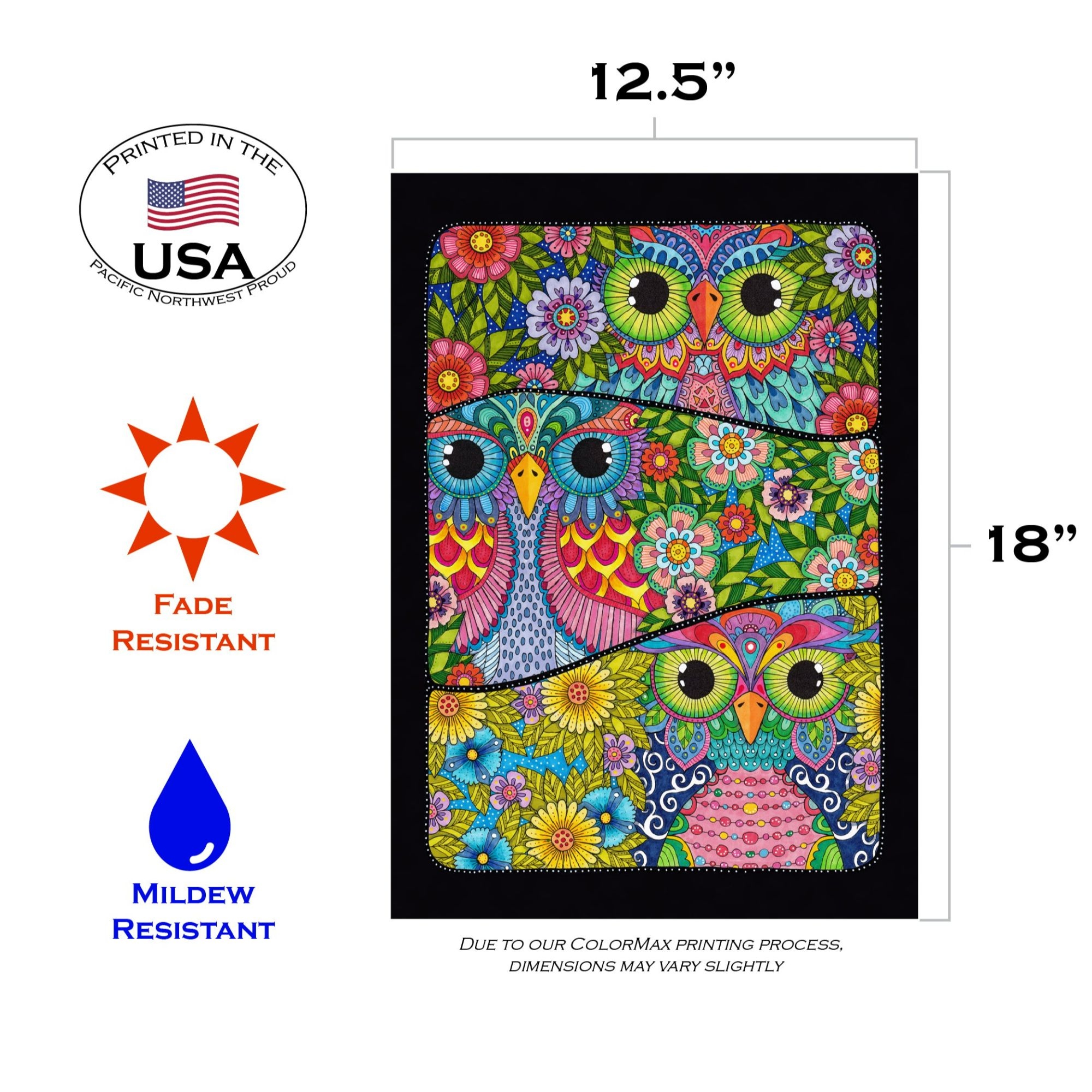 秋山花　「THE 3 BIRDS AND A FLAG」 pascua-yaqui-tribe-of-arizona-