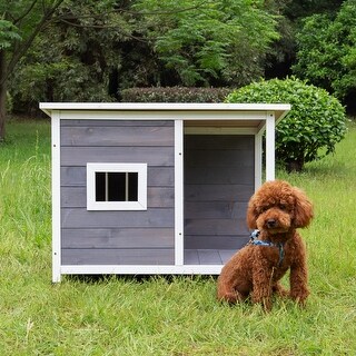 dog house flat roof