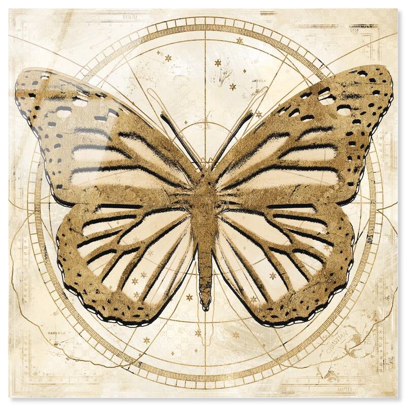 Astro Fluttering Wings Acrylic by Art Remedy, Ready to Hang - 12" x 12"