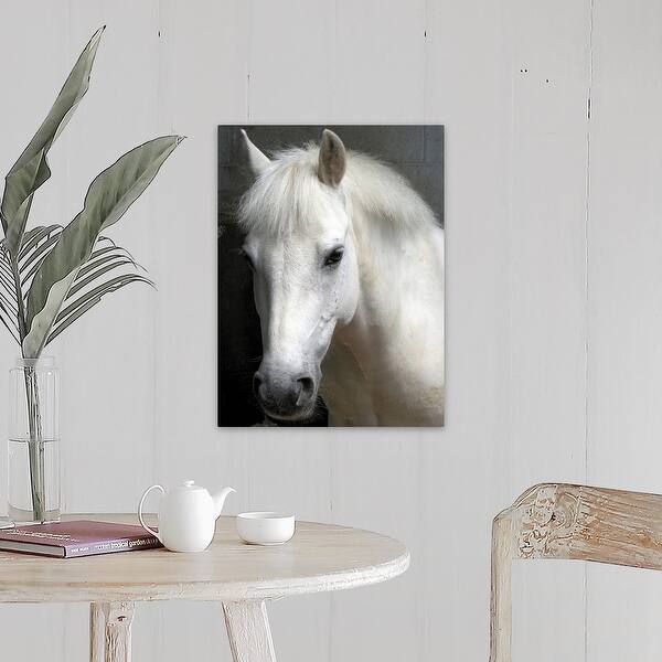 Shop Portrait Of A White Horse Canvas Wall Art Overstock