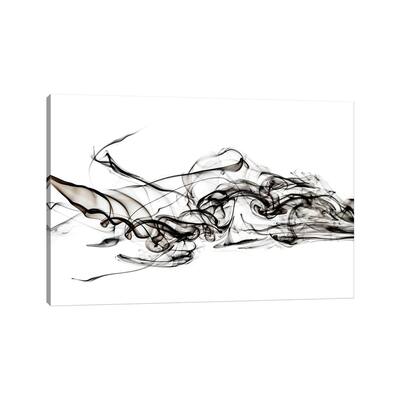 iCanvas "Abstract Black Smoke - Shark" by Philippe Hugonnard Canvas Print