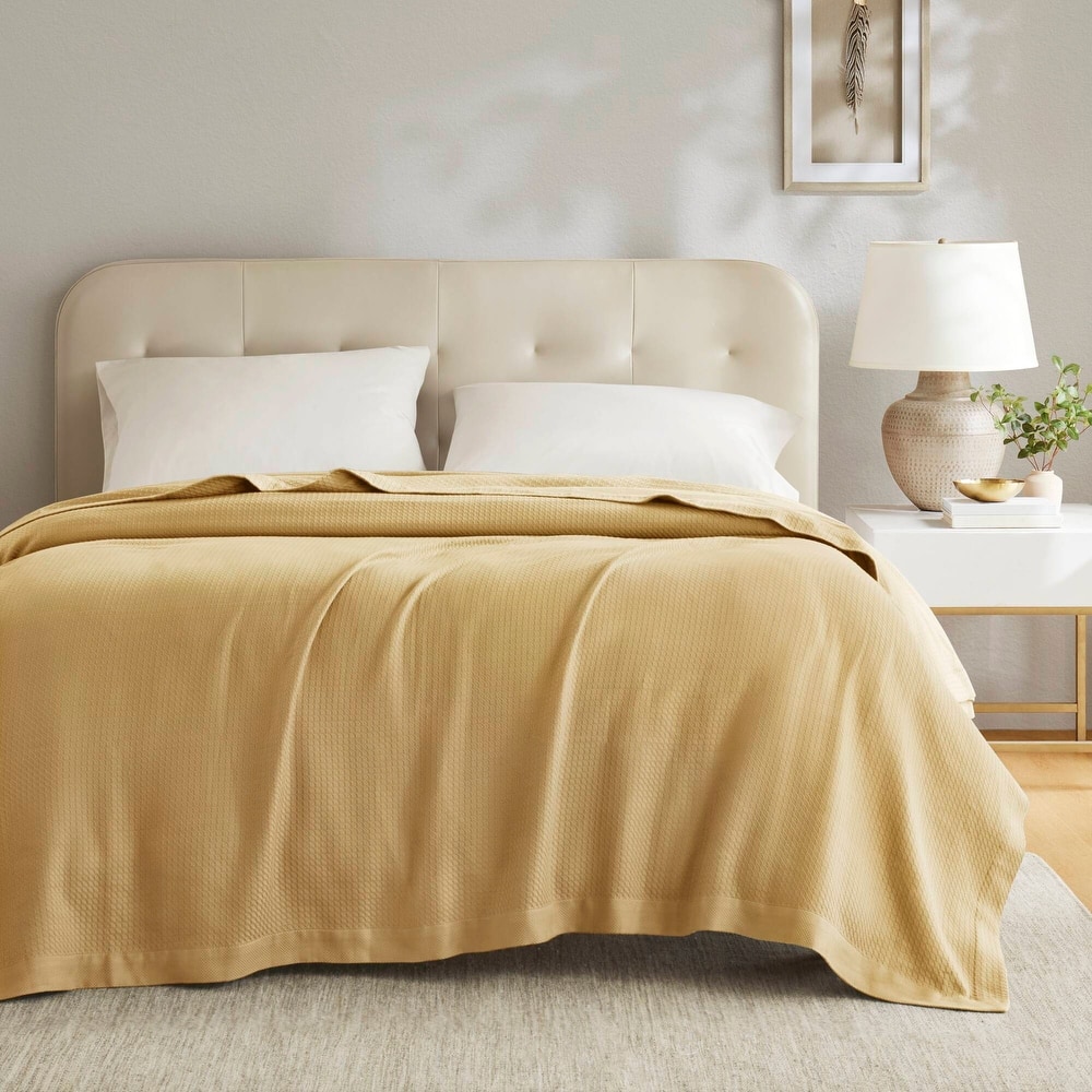 Madison Park Egyptian Cotton Solid Blanket