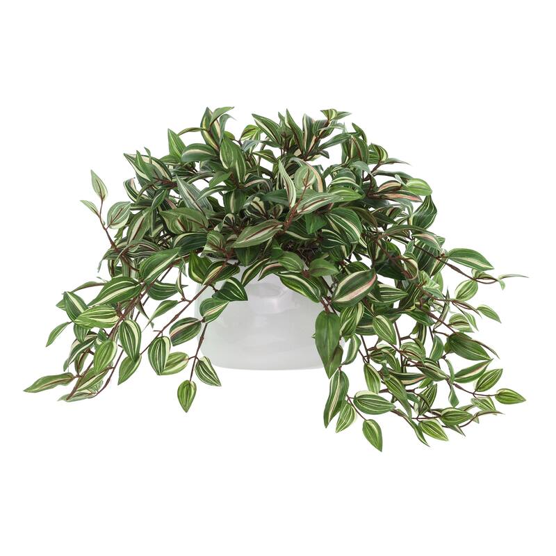 Faux Tradescantia Plant in Ceramic Vase - Green