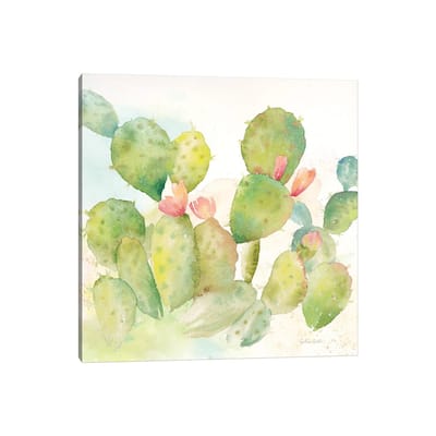iCanvas "Cactus Garden I" by Cynthia Coulter Canvas Print