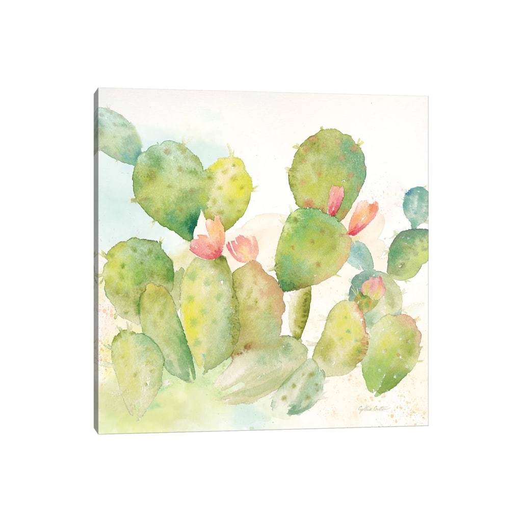 iCanvas "Cactus Garden I" by Cynthia Coulter Canvas Print