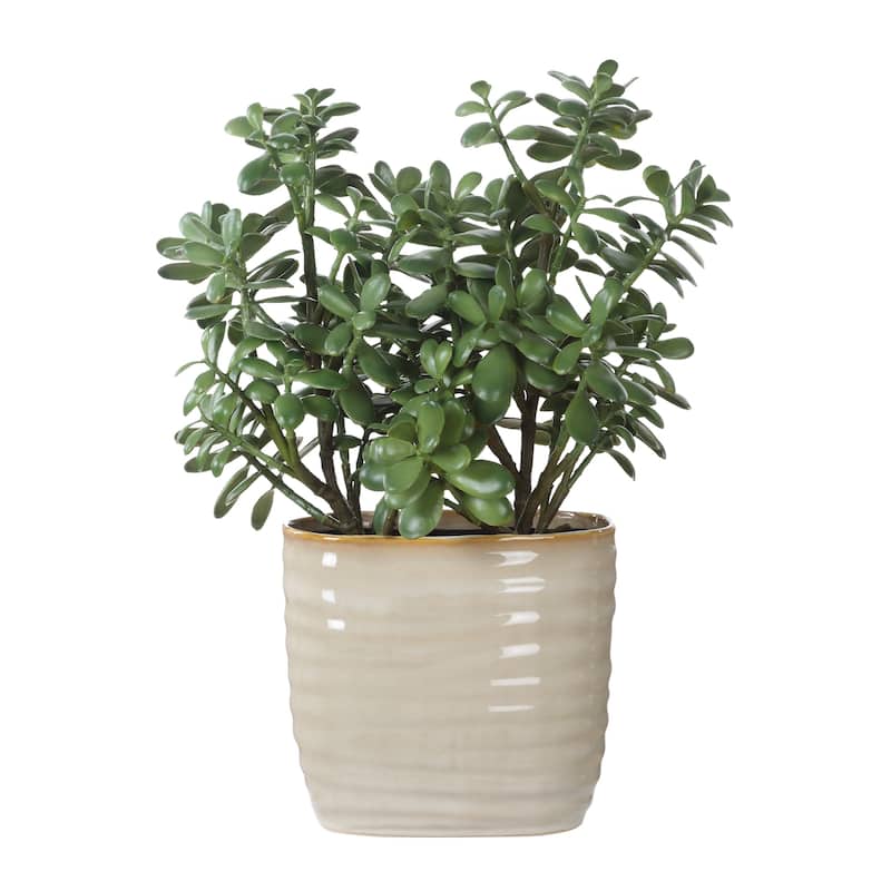 Jade Crassula Artificial plant with Ceramic Pot - 23.5" - Green and Beige