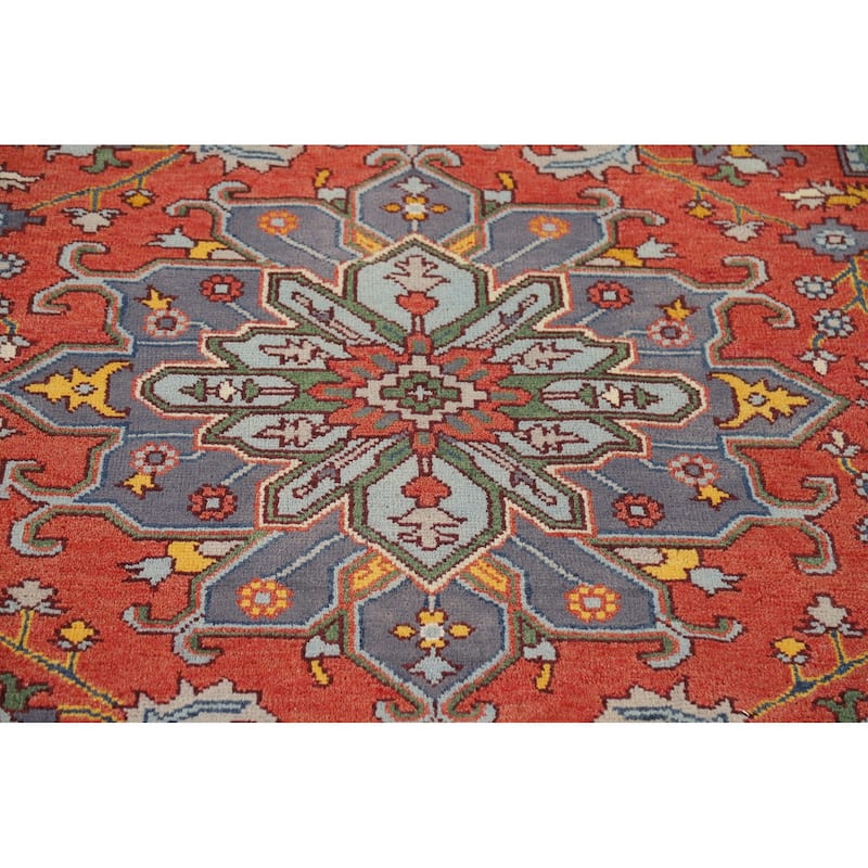 Animals Design Heriz Serapi Indian Area Rug Handmade Wool Carpet - 7'11" x 9'11"