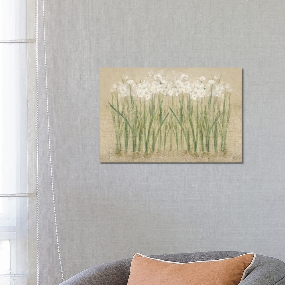 iCanvas "Narcissus Cool " by Cheri Blum Canvas Print