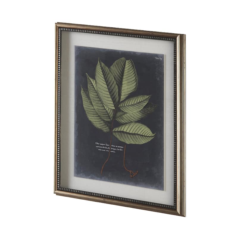 Foliage Dramatique III Framed Art Print