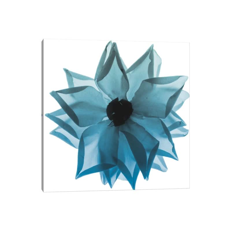 iCanvas "Rose Petal Blues I" by Albert Koetsier Canvas Print