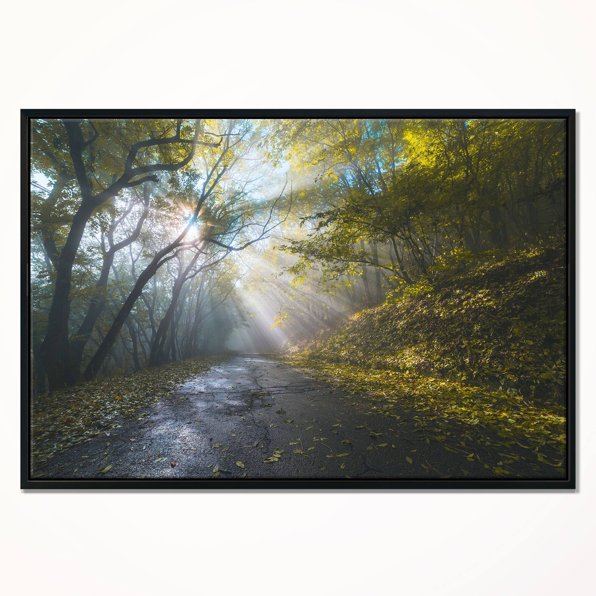Designart "Road in Autumn Forest at Sunset" Large Landscape Framed