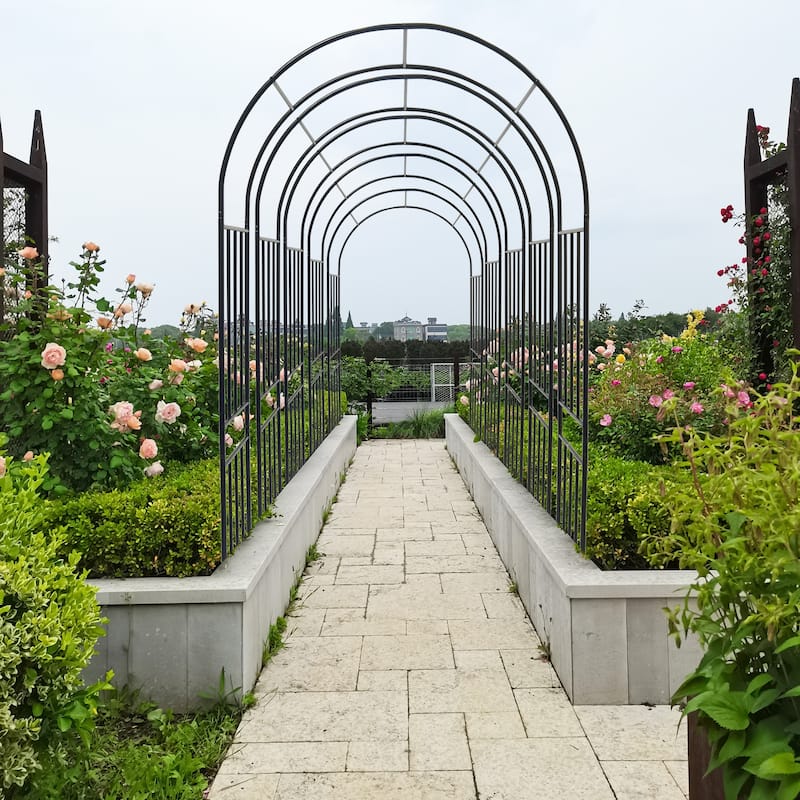 Metal Garden Arch Climbing Plants Support Rose Arch Outdoor