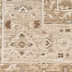 preview thumbnail 14 of 30, Nourison Harbor Indoor only Persian Area Rug