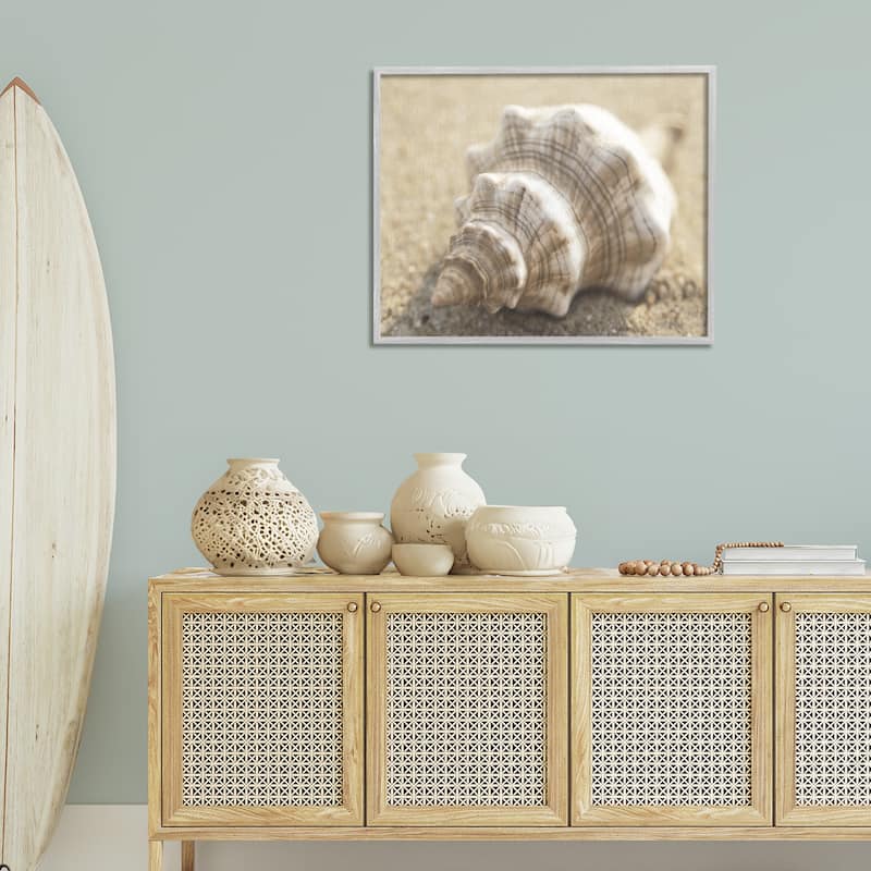 Stupell Neutral Tone Conch Shell Framed Giclee Art Design By Dora Rotondella