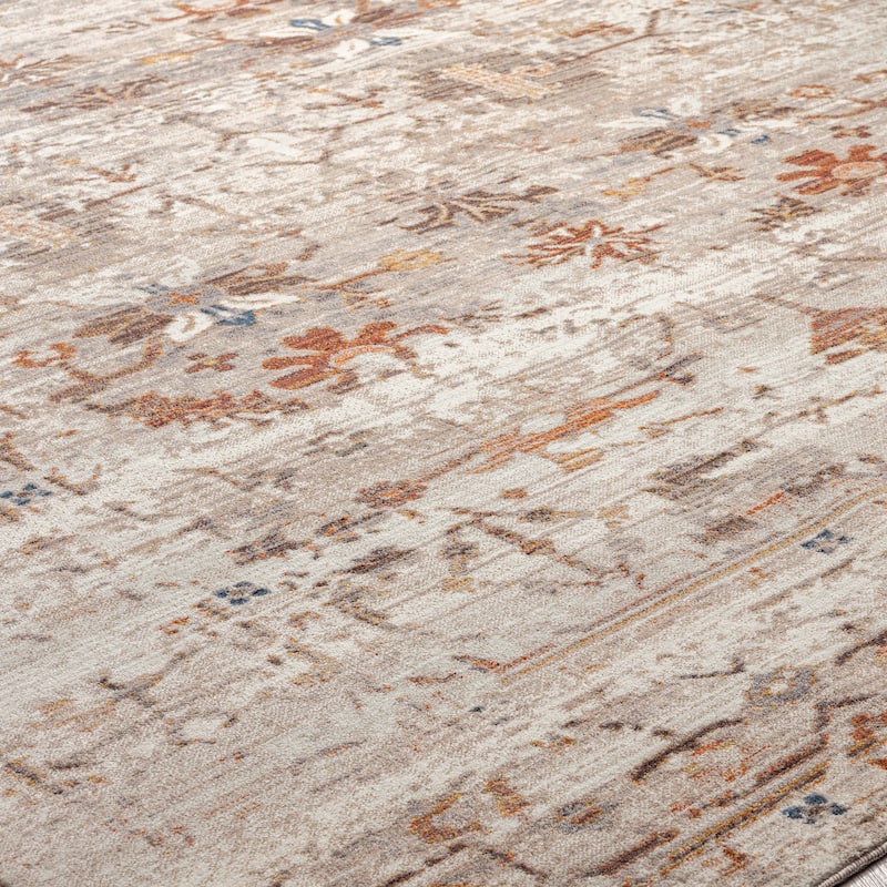 Desert Sands/Rust Traditional Area Rug