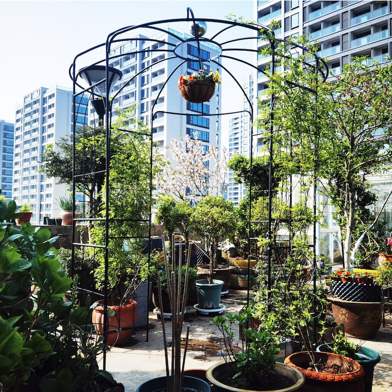 Garden Arches Arbors Curved Metal Iron Plants Trellis Stand Use for Outdoor Garden Arbor Climbing Plants Wedding Arches Ceremony - Black