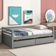 preview thumbnail 2 of 7, Versatile Twin Size Daybed with Hideaway Drawers, Wooden Sofa Bed for Bedroom Living Room Children Room