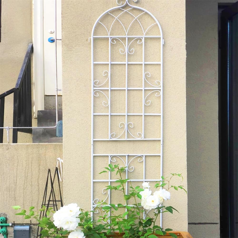 4 Pcs Rustproof Metal Garden Trellis for Climbing Plants