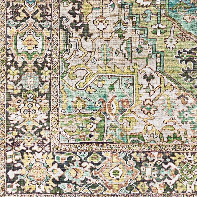 Adenia Vintage Medallion Printed Area Rug