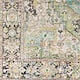 Adenia Vintage Medallion Printed Area Rug
