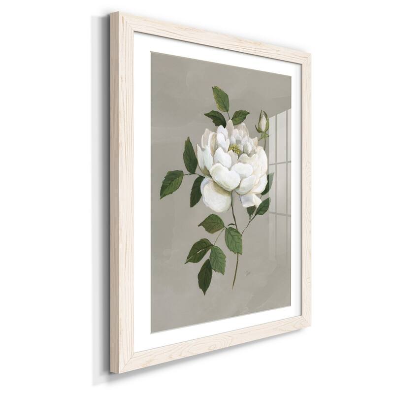 Botanical Rose-Premium Framed Print - Ready to Hang