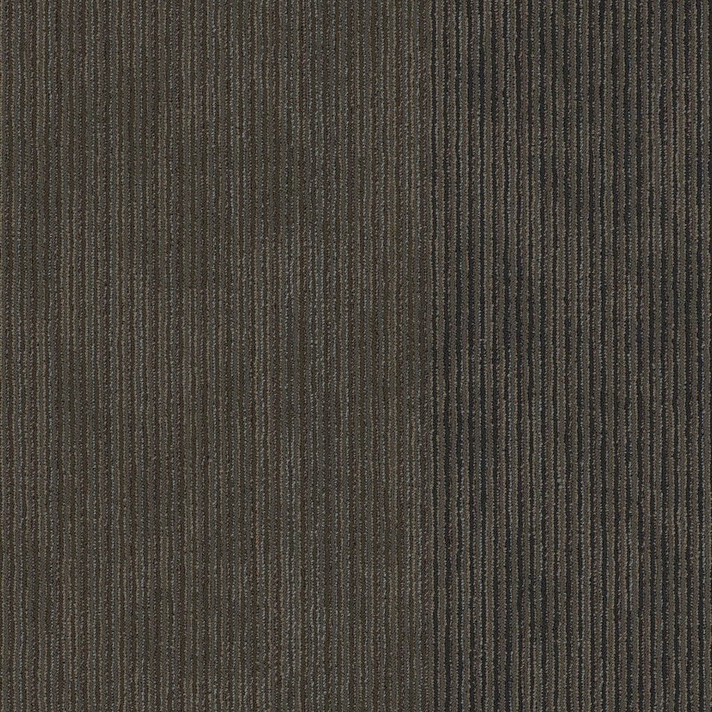 Shaw Philadelphia Commercial Disclose 24" x 24" Glue Down Carpet Tile