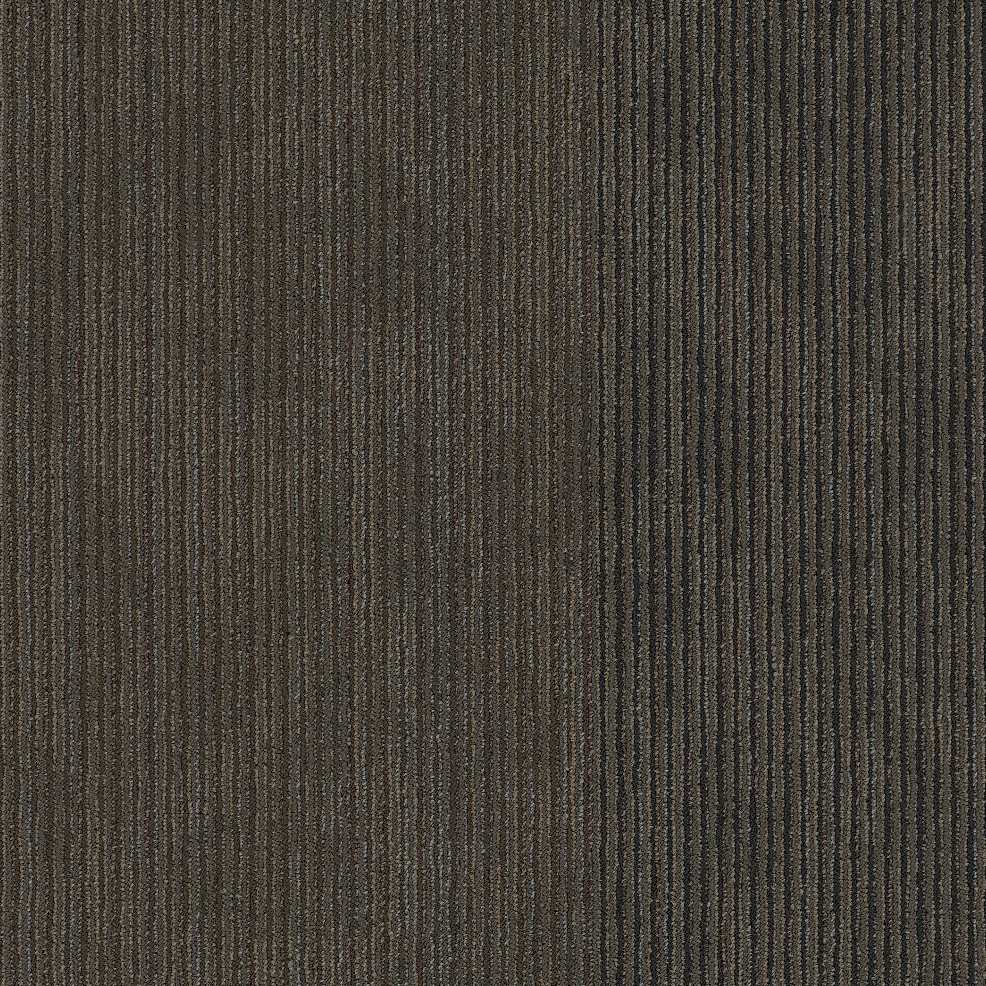 Shaw Philadelphia Commercial Disclose 24" x 24" Glue Down Carpet Tile