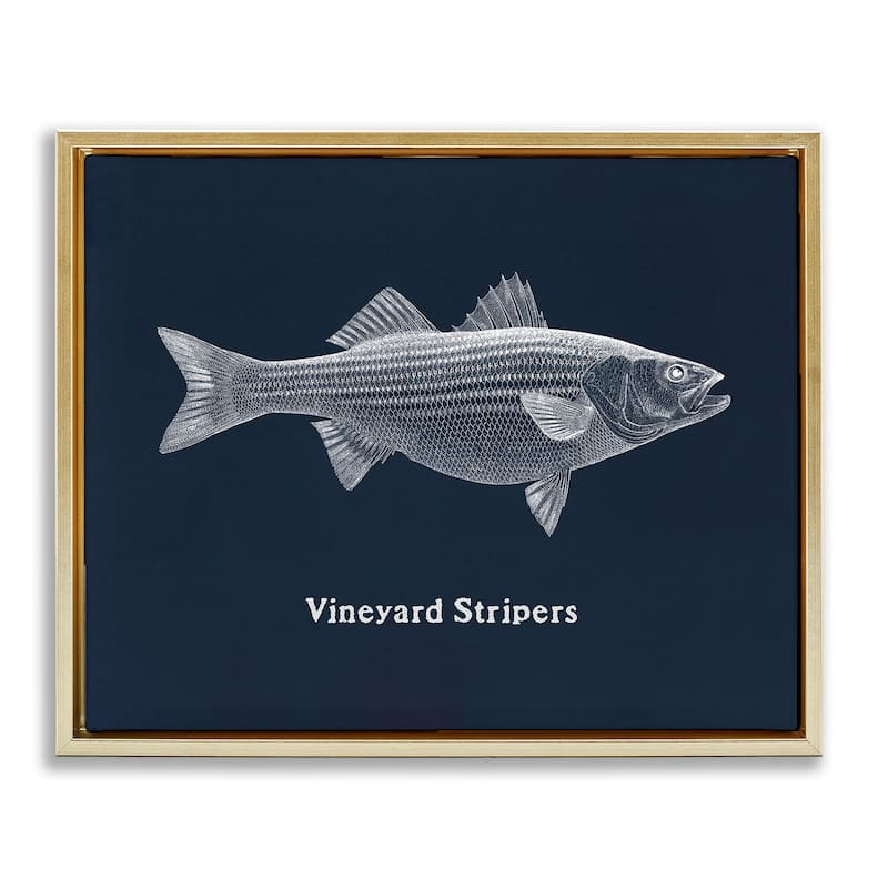 Stupell Vineyard Stripers Fish Framed Floater Canvas Wall Art Design By Phillipa Katz - 21 x 17 - Gold