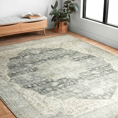 Alexander Home Leanne Printed Shabby Chic Medallion Vintage Area Rug