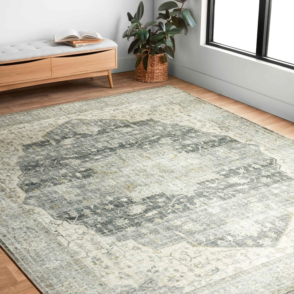 Alexander Home Leanne Printed Shabby Chic Medallion Vintage Area Rug