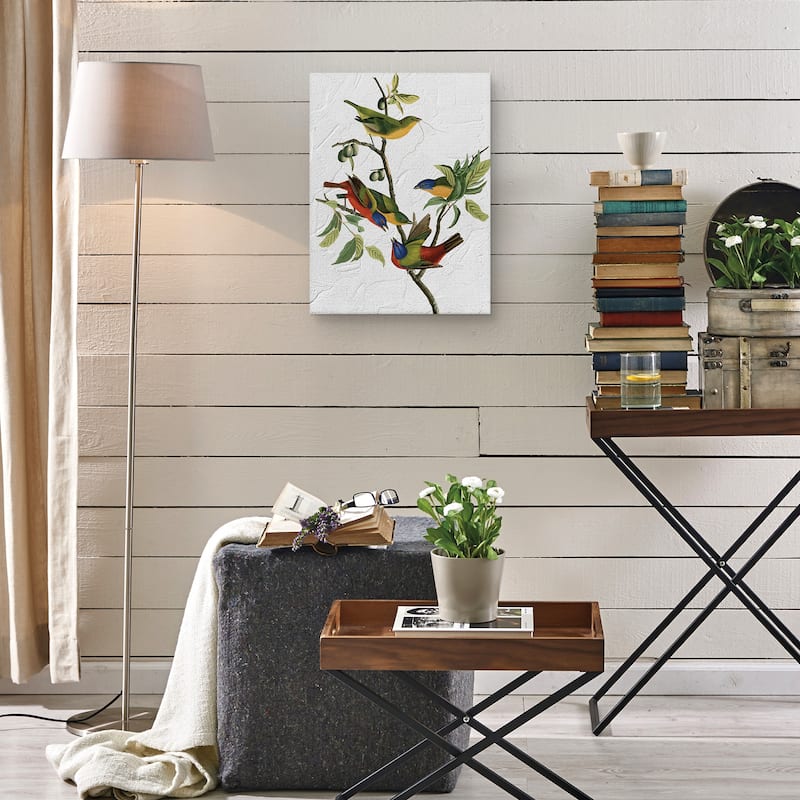 Audubon Painted Finch Texture Canvas Art Print