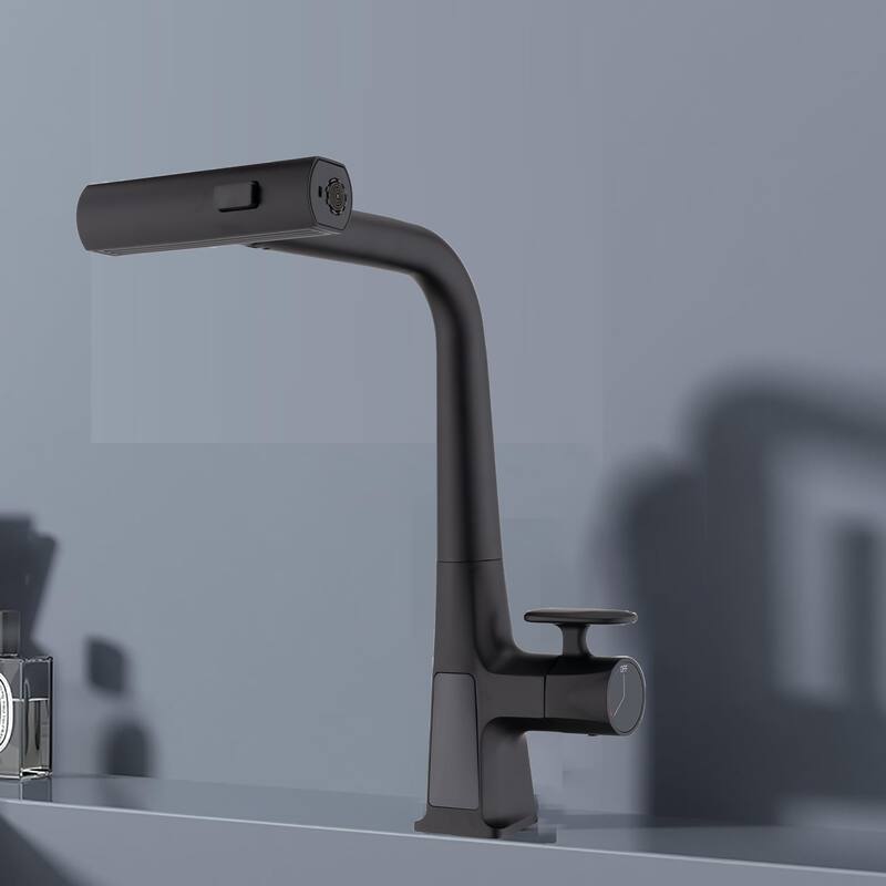 Kitchen Faucet with Temperature Display