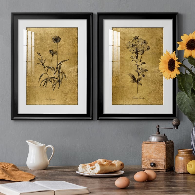 Gold Sketch Botanical I Premium Framed Print - Ready to Hang