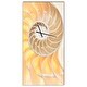 preview thumbnail 4 of 9, Designart 'Golden Nautilus Shell Pattern' Oversized Coastal Wall CLock