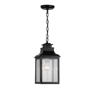 1 Light Outdoor Hanging Light - Imperial Black - Imperial Black
