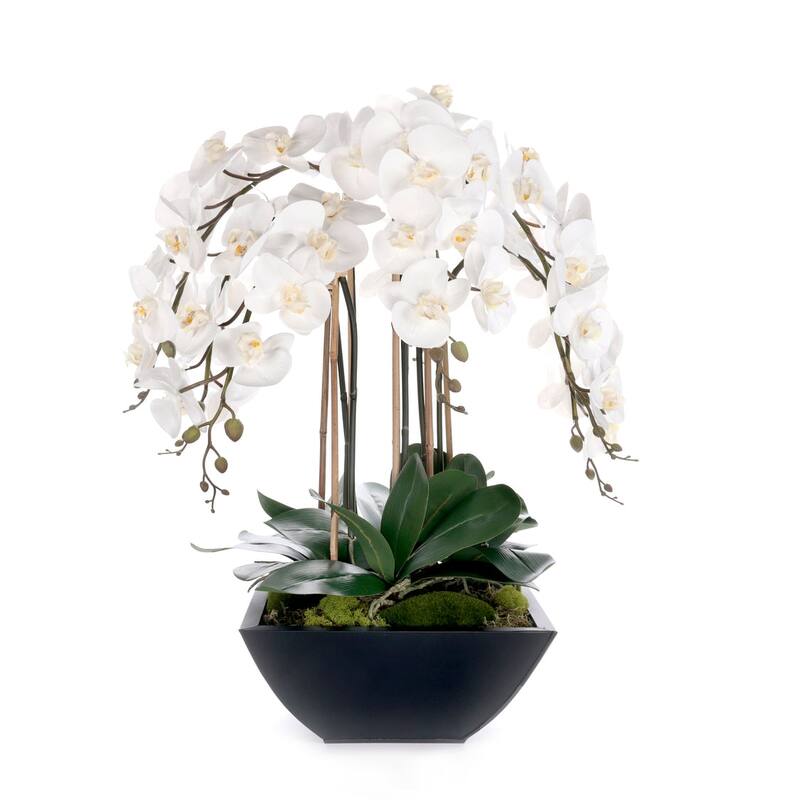 Real Touch White Orchids Flower Arrangement in Black Pot