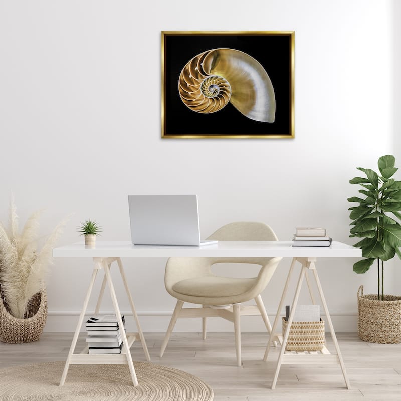 Stupell Tan Nautilus Shell on Black Framed Floater Canvas Wall Art Design By Mary Lou Johnson