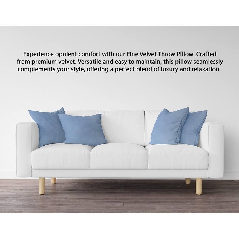 A1HC Pack of 2 Velvet Throw Pillow Insert, Hypoallergenic Down Alternative Fill