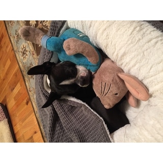 Shop Best Friends by Sheri Cozy Cuddler Mason Dog Bed - Free Shipping ...