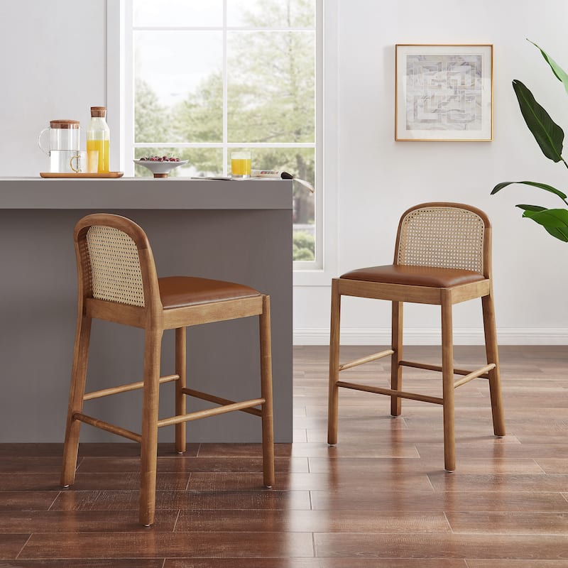 NPD Furniture Donna Faux Leather Rattan Counter Stool (Set of 2)