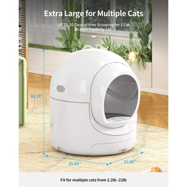 ziwi cat wet food Ziwi Peak Grain Free Cat Can Food Lamb On Sale At NJ Pet Store main image 1