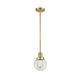 Option Clear / Satin Gold