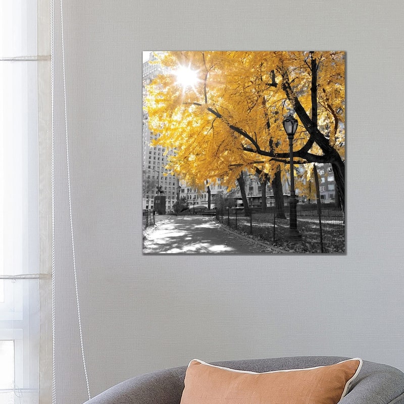 iCanvas "Park Pretty II" by Assaf Frank Canvas Print - 26x26x1.5