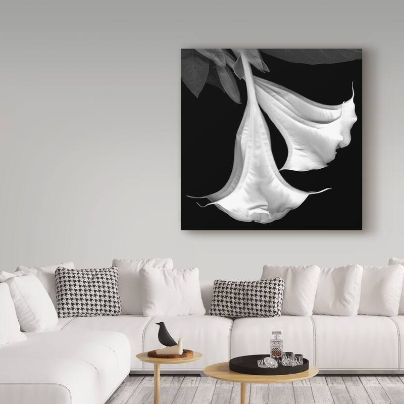 Susan S. Barmon 'Trumpet Flower Black And White' Canvas Art