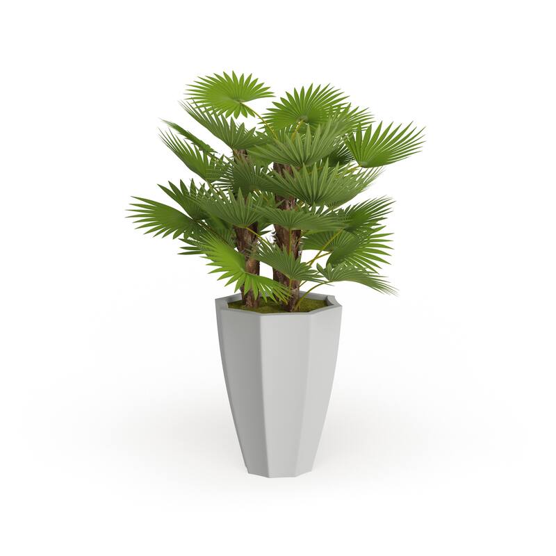 White Fiberglass Contemporary Artificial foliage - 35"L x 33"W x 54"H - 35"L x 33"W x 54"H