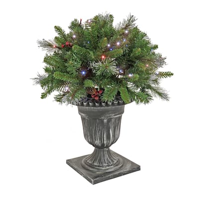 National Tree Company 2 ft. Crestwood Spruce Porch Bush with Twinkly LED Lights - 2 ft