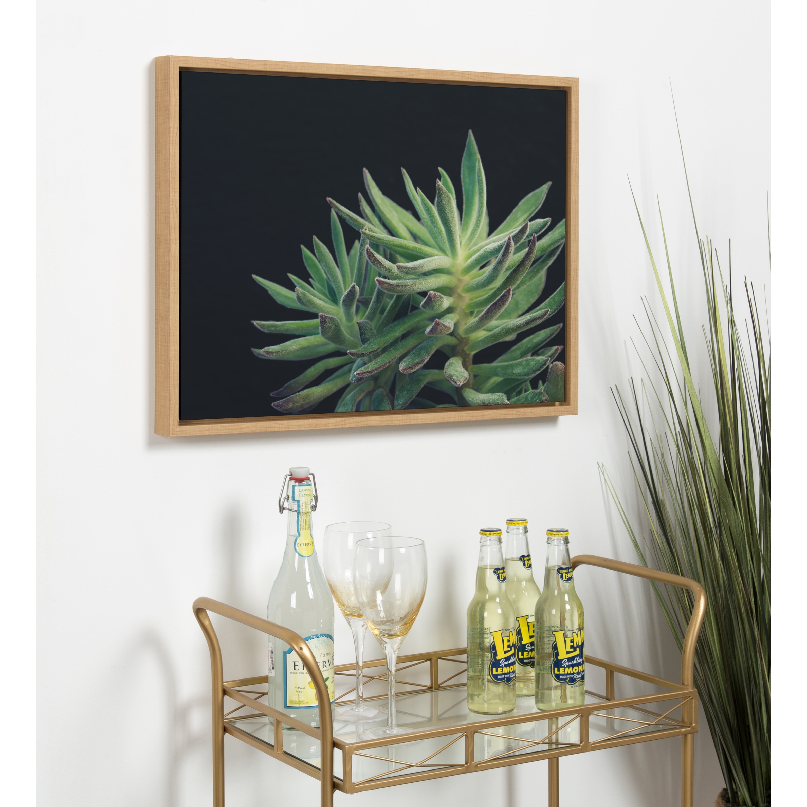 Kate and Laurel Sylvie Succulent 13 Framed Canvas by F2 Images On Sale  Bed Bath  Beyond 27340996