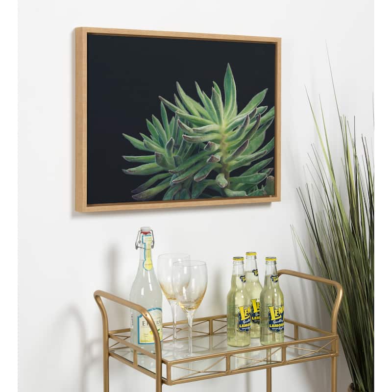 Kate and Laurel Sylvie Succulent 13 Framed Canvas by F2 Images