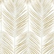 Option Silver & Gold